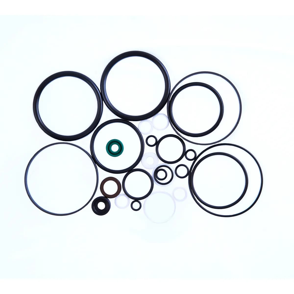 Ремкомплект пневмонасоса (Full sealing of pump) S40-2EL