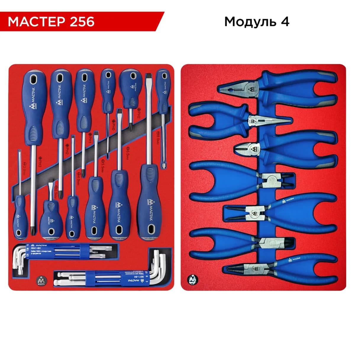 Инструмент в ложементах 5-00256