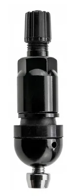 Комплект вентилей TPMS-01BK под датчик (Черный)